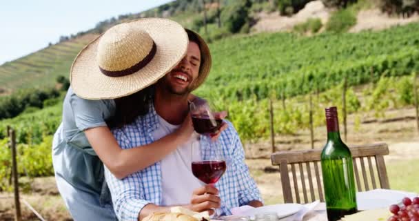 Пара, пьющая вино на ферме — стоковое видео