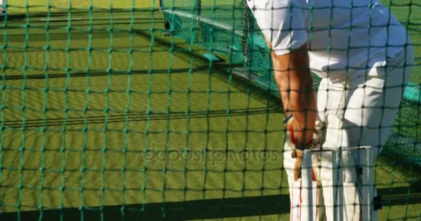 Игроки в крикет тренируются в сетях во время тренировки — стоковое видео