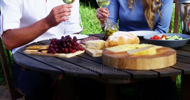Milující pár opékání sklenic vína na vinici — Stock video