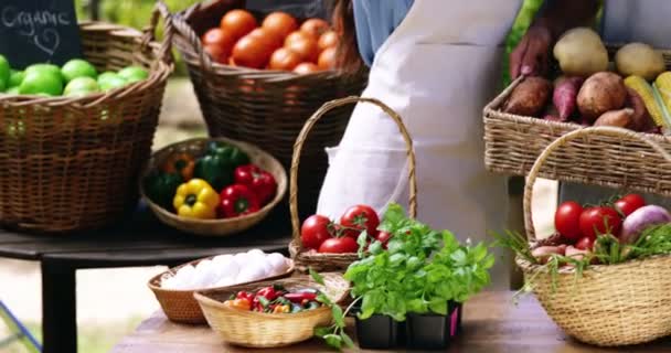 Sección media de la pareja sosteniendo verduras frescas en la cesta — Vídeo de stock