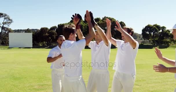 Cricket spelers geven hoge vijf tijdens cricket match — Stockvideo