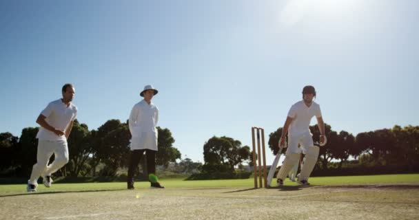 Bowler levererar bollen under cricket match — Stockvideo