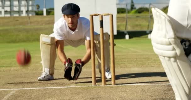 Strážce branky sběr kriketový míček za pařezy během zápasu — Stock video
