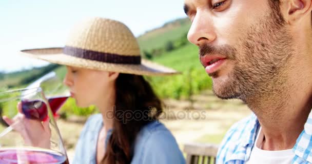 Couple ayant du vin à la ferme — Video