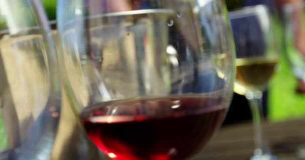 Close-up van man wijn in het glas gieten — Stockvideo