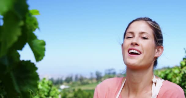 Портрет счастливой женщины, поедающей виноград в винограднике — стоковое видео
