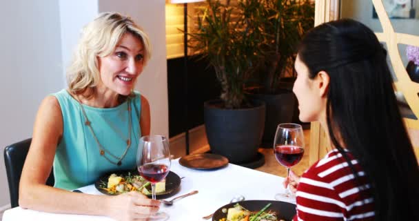 Dos mujeres brindando copas de vino tinto — Vídeo de stock