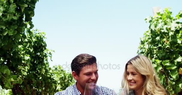Feliz pareja brindar copas de vino en el viñedo — Vídeo de stock