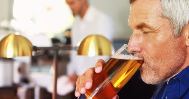 Smiling mature man drinking beer at counter — Stock Video