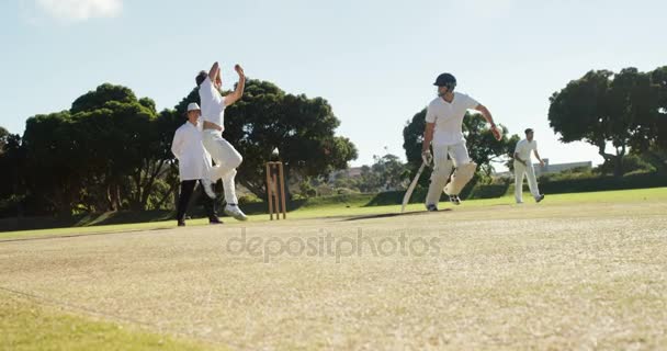 Bowler leveren bal tijdens cricket match — Stockvideo