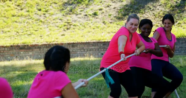 Mujeres jugando tirón de la guerra durante la carrera de obstáculos — Vídeos de Stock