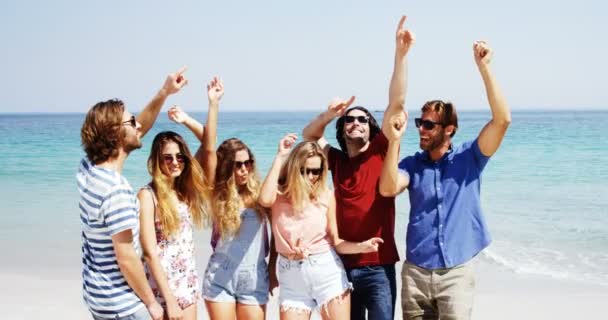 Vrienden genieten van samen op strand — Stockvideo