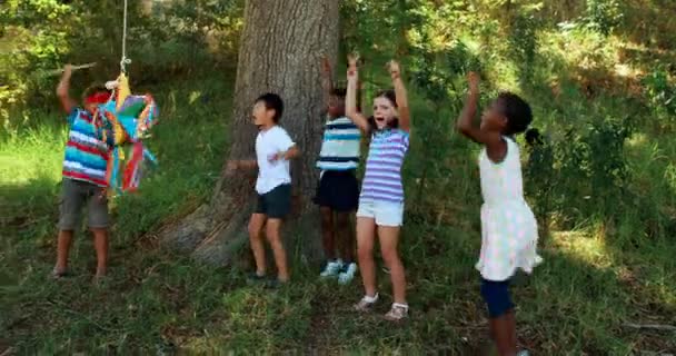 Groep vrienden spelen in park — Stockvideo