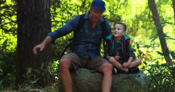 Батько і син дивляться на природу в парку — стокове відео