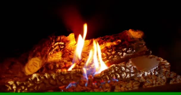 Close-up of campfire burning — Stock Video