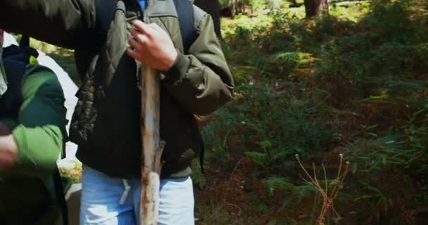 Père et fils regardant la nature dans le parc — Video