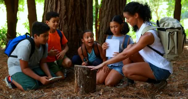 Vrouw en kinderen onderzoeken boom inloggen park — Stockvideo