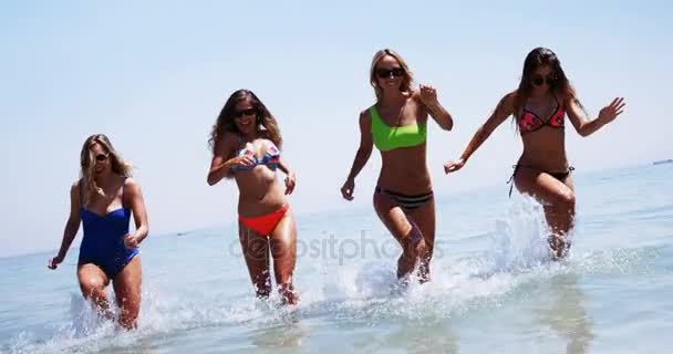 Счастливые друзья, веселящиеся на пляже — стоковое видео
