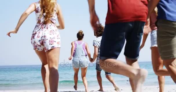 Amigos disfrutando juntos en la playa — Vídeo de stock