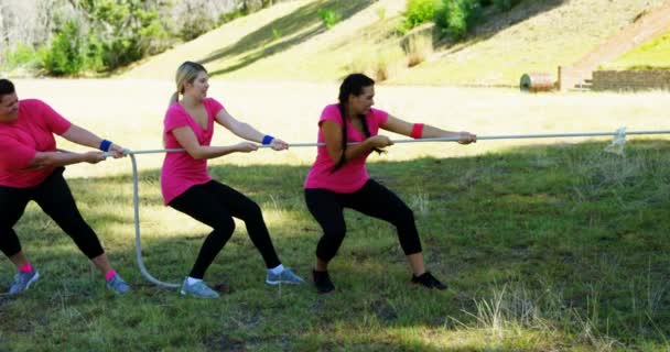 Mulheres jogando rebocador de guerra durante curso de obstáculo — Vídeo de Stock