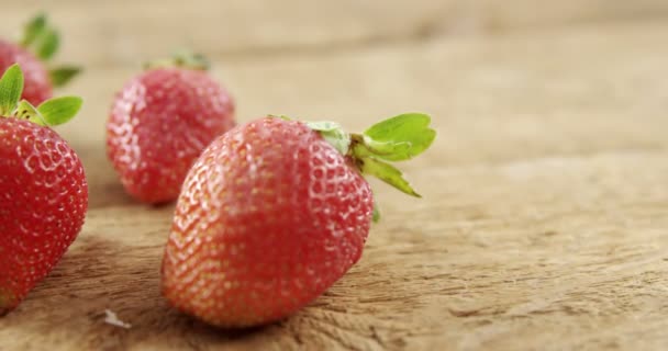 Gros plan sur les fraises fraîches — Video