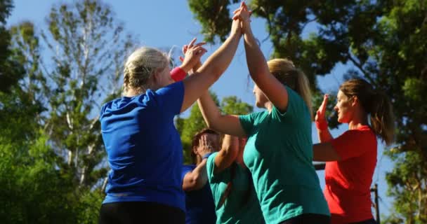 Vrouwen geven hoge vijf aan elkaar — Stockvideo