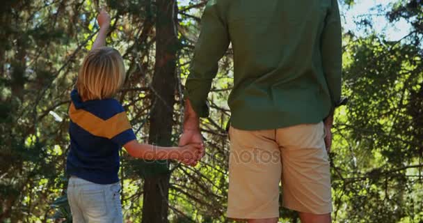 Отец и сын смотрят на природу в парке — стоковое видео