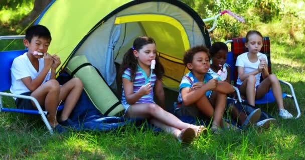 Kids having marshmallows outside tent — Stock Video