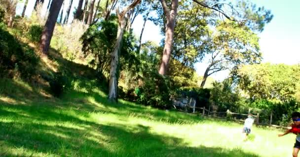 Amigos fingiendo ser un superhéroe en el parque — Vídeo de stock