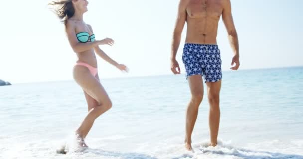 Man giving piggyback ride to woman at beach — Stock Video