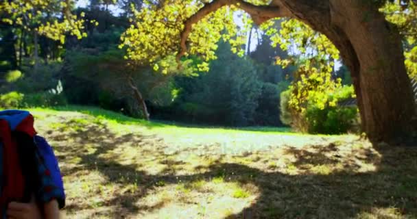 Far och son tittar på naturen i parken — Stockvideo