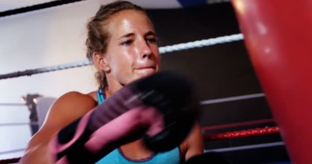 Boxeador practicando boxeo con saco de boxeo — Vídeos de Stock
