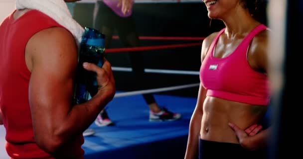 Mola sırasında birbirleriyle etkileşim boksörler — Stok video