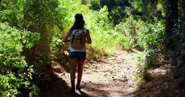 Vue arrière de la femme avec sac à dos marchant dans le parc — Video