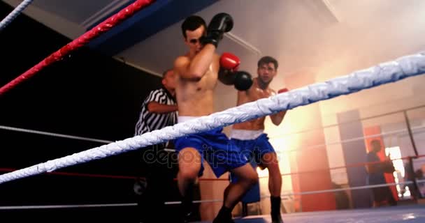 Dois pugilistas lutando no ringue de boxe — Vídeo de Stock