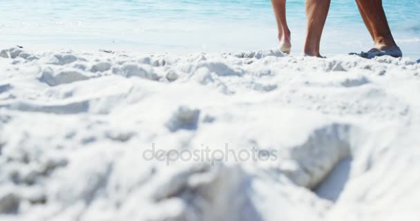 Друзья несут женщину на пляже — стоковое видео