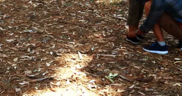 Far att hjälpa sonen att knyta hans sko spetsar i parken — Stockvideo