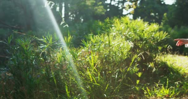 Far och son tittar på naturen i parken — Stockvideo