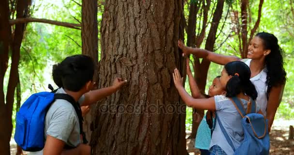 女人和小孩检查公园树干 — 图库视频影像
