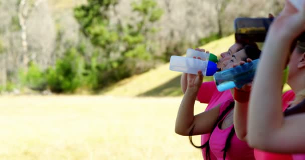 Група жінок п'ють воду після тренування — стокове відео