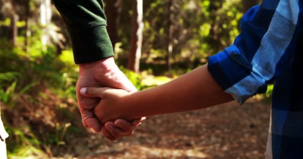 Padre sosteniendo la mano de los hijos en el parque — Vídeo de stock