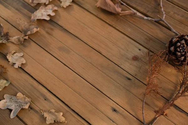 Dennenappel en gedroogde bladeren — Stockfoto