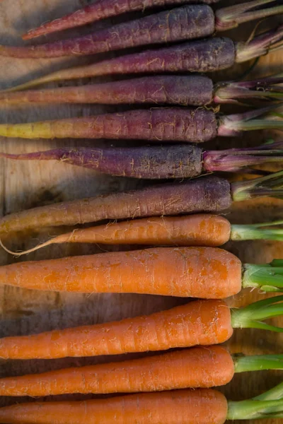 Kastanjebruin en oranje wortelen — Stockfoto