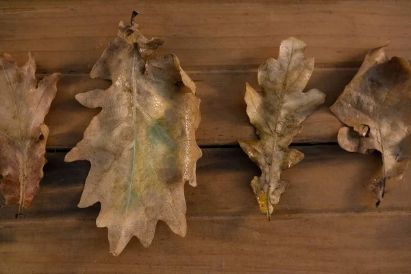 Vue aérienne des feuilles sèches — Photo