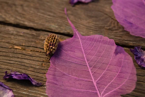 Pink leaves on wooden table — Stock Photo, Image