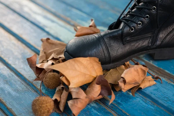 Black shoe by dried leaves — Stock Photo, Image