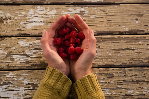 Overhead view of woman holding raspberries — Stock Photo, Image