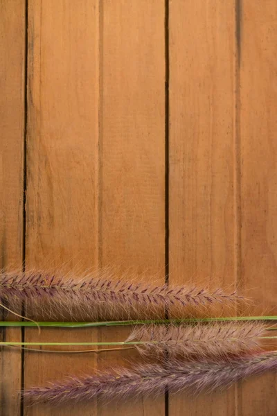 Canne su tavolo di legno — Foto Stock