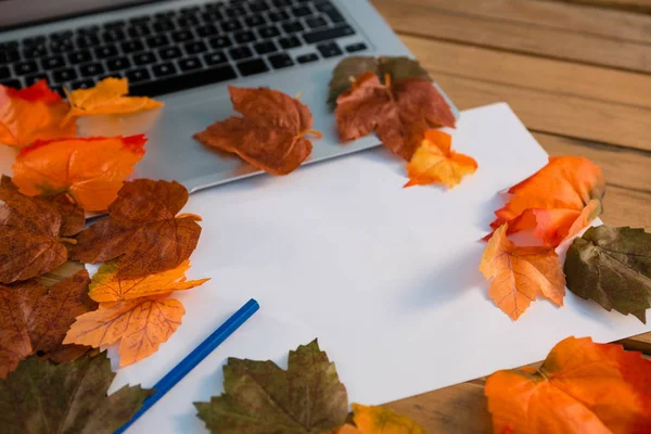 Autumn leaves with paper by laptop — Stock Photo, Image