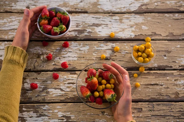 Hands on woman holding berry fruits — Stock Photo, Image